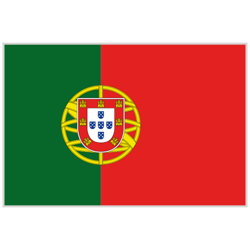Organization flag (1)