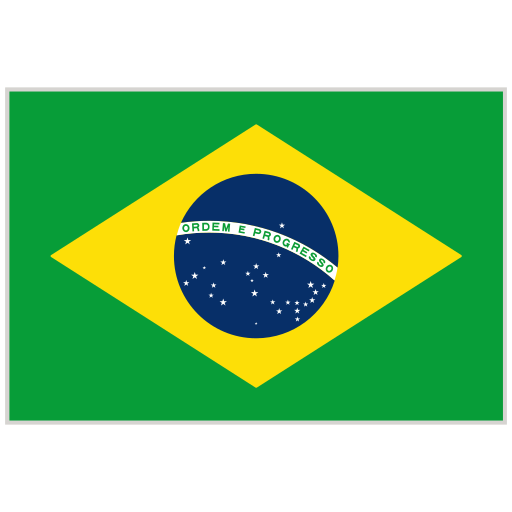 Organization flag (2)