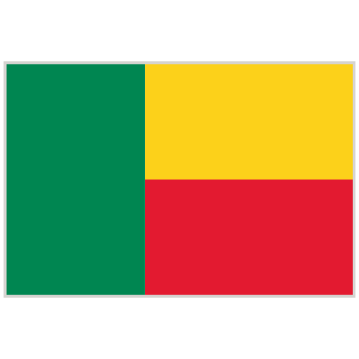 Organization flag (3)